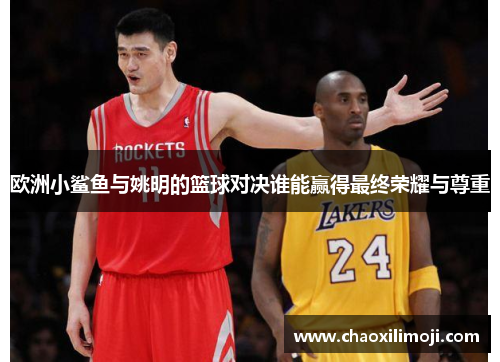 欧洲小鲨鱼与姚明的篮球对决谁能赢得最终荣耀与尊重