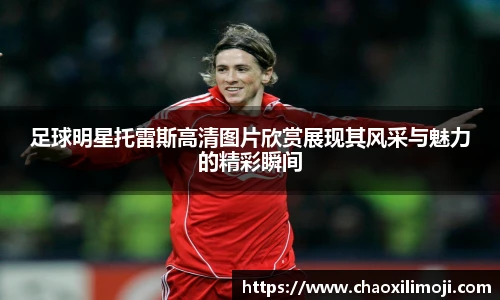 足球明星托雷斯高清图片欣赏展现其风采与魅力的精彩瞬间